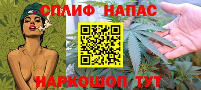шишки Белореченск
