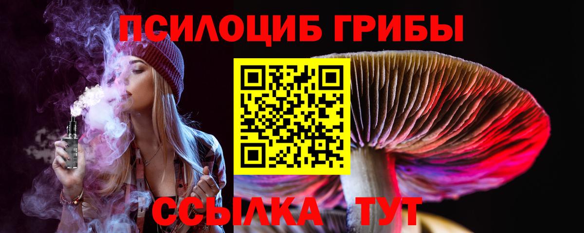 Владивосток  как найти закладки  Вход с VPN  Галлюциногенные грибы Cubensis 